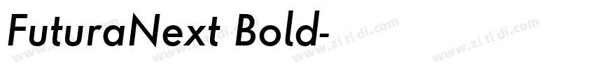 FuturaNext Bold字体转换